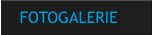 FOTOGALERIE