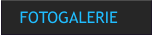 FOTOGALERIE